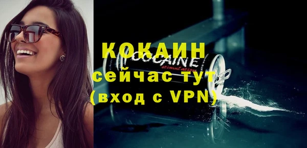 ГАЛЛЮЦИНОГЕННЫЕ ГРИБЫ Бородино