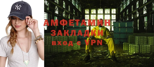ГАЛЛЮЦИНОГЕННЫЕ ГРИБЫ Бородино