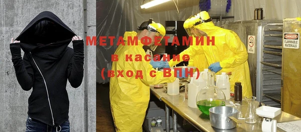 ГАЛЛЮЦИНОГЕННЫЕ ГРИБЫ Бородино