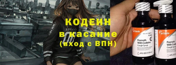 ГАЛЛЮЦИНОГЕННЫЕ ГРИБЫ Бородино